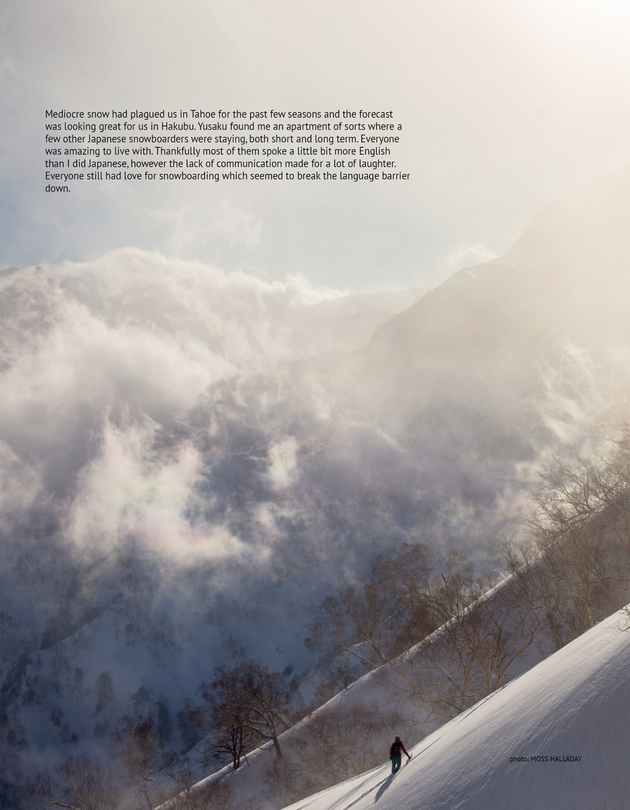 Page Background