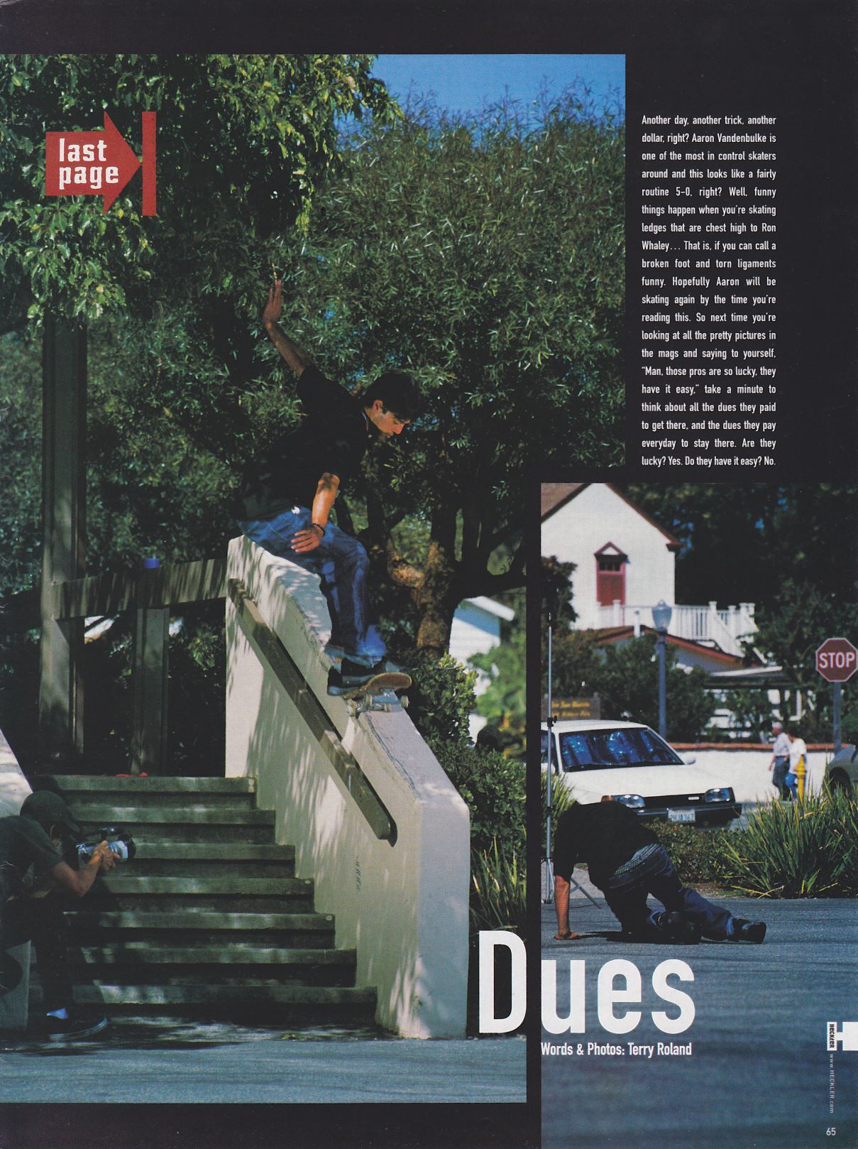 Page Background