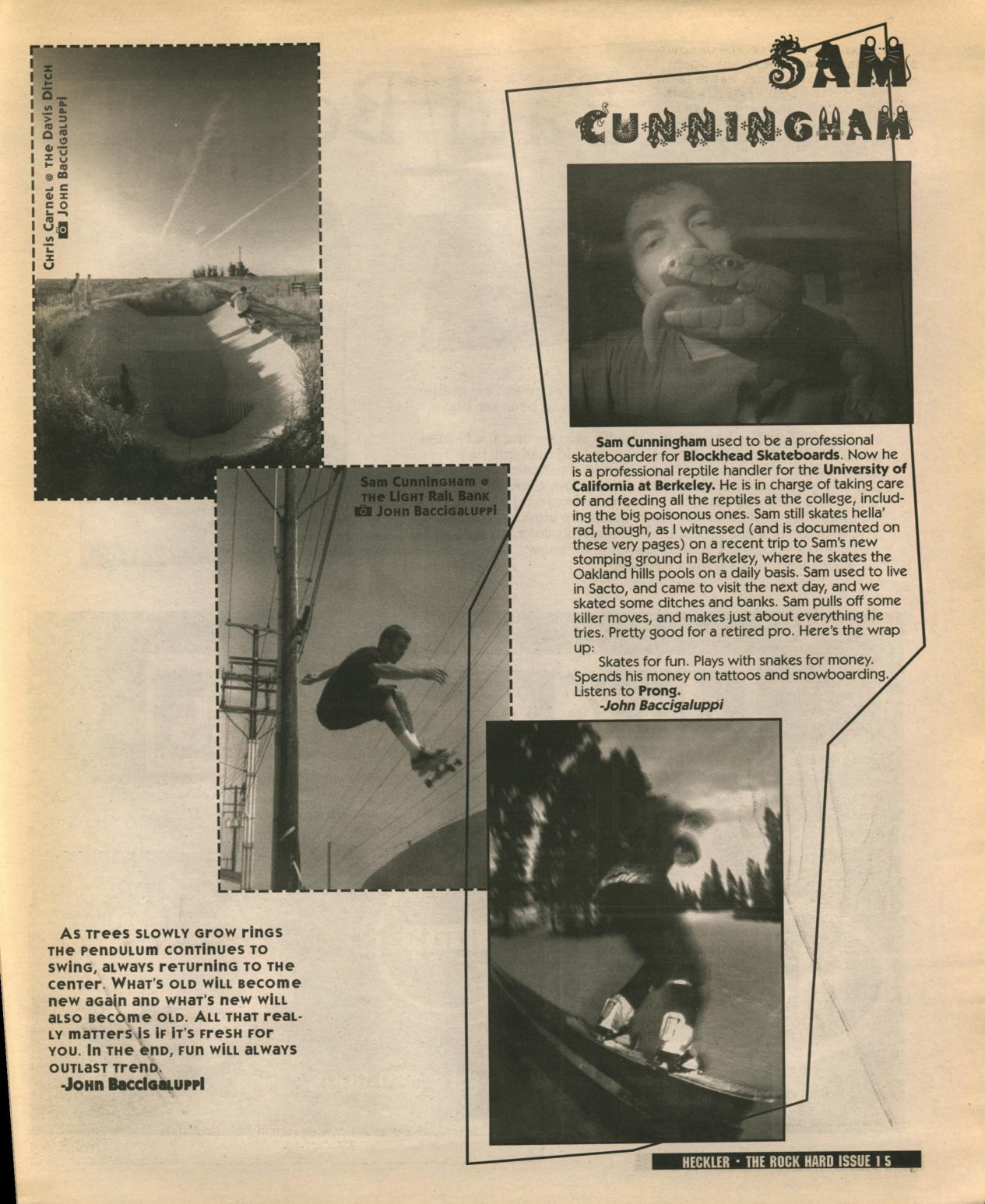 Page Background