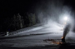 SNOWMAKINGROSE